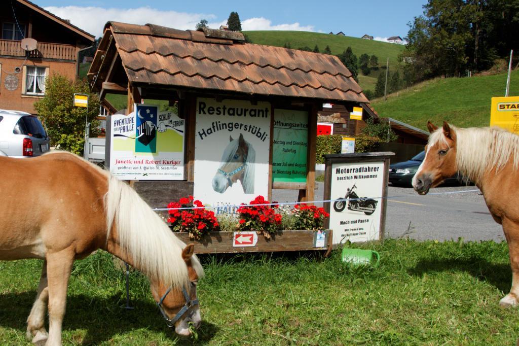 Haflingerhof Fruhboden Villa Egg Esterno foto