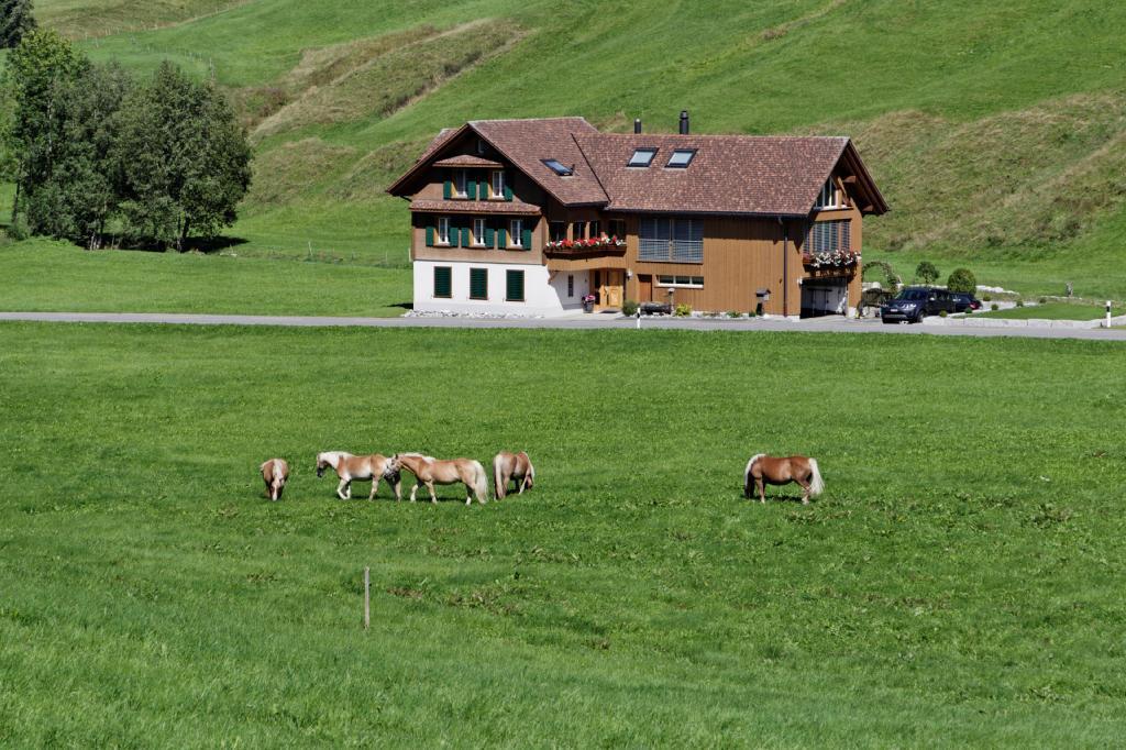 Haflingerhof Fruhboden Villa Egg Esterno foto