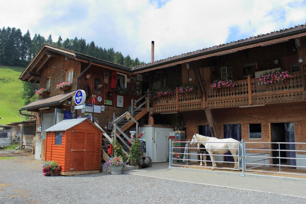 Haflingerhof Fruhboden Villa Egg Esterno foto