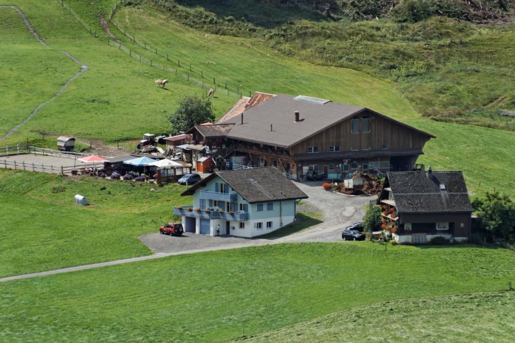 Haflingerhof Fruhboden Villa Egg Esterno foto